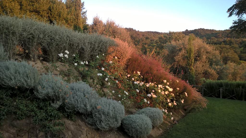 Piccolo Relais Galletto Di Marzo Spa E Relax Solo Per Due Paciano Exterior foto